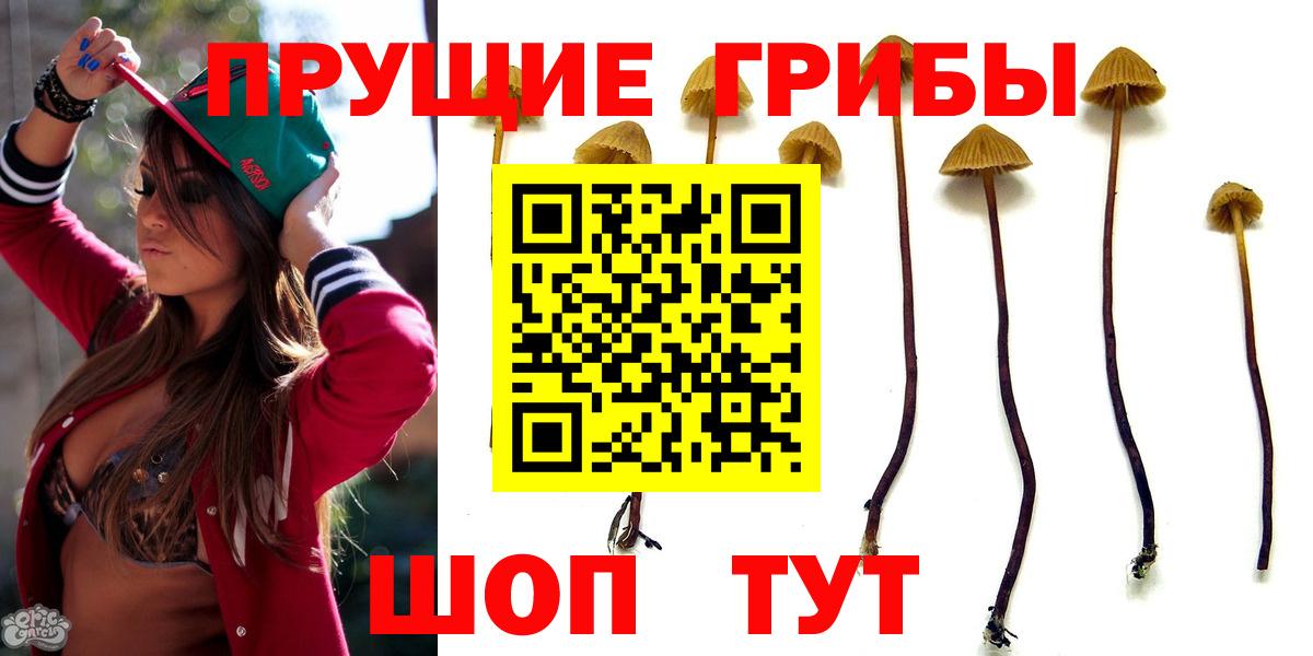 Псилоцибиновые грибы мухоморы  Вход с VPN  Зеленогорск 